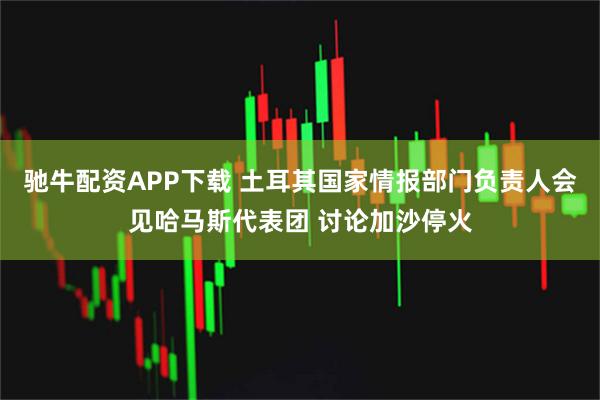 驰牛配资APP下载 土耳其国家情报部门负责人会见哈马斯代表团 讨论加沙停火