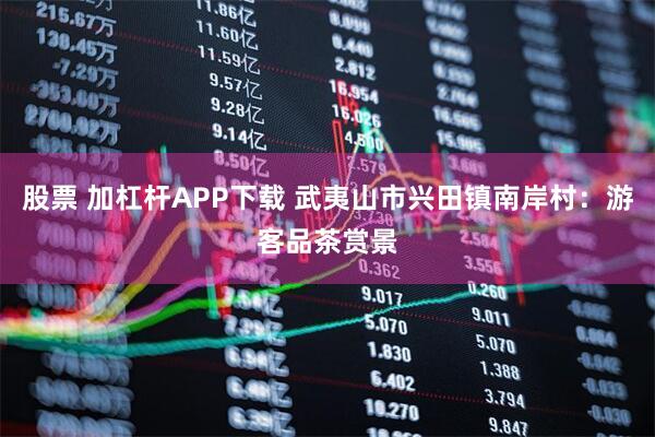 股票 加杠杆APP下载 武夷山市兴田镇南岸村：游客品茶赏景
