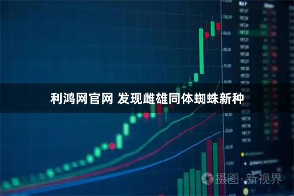 利鸿网官网 发现雌雄同体蜘蛛新种