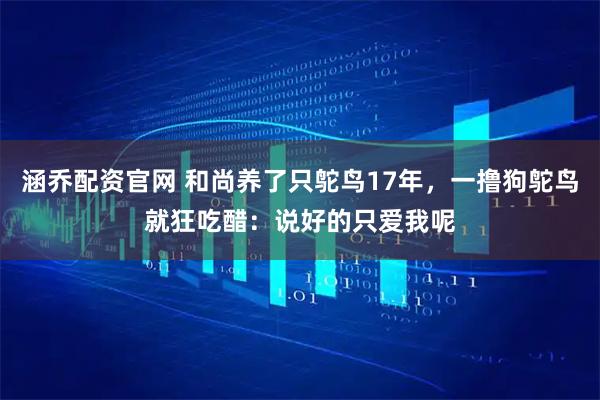 涵乔配资官网 和尚养了只鸵鸟17年，一撸狗鸵鸟就狂吃醋：说好的只爱我呢